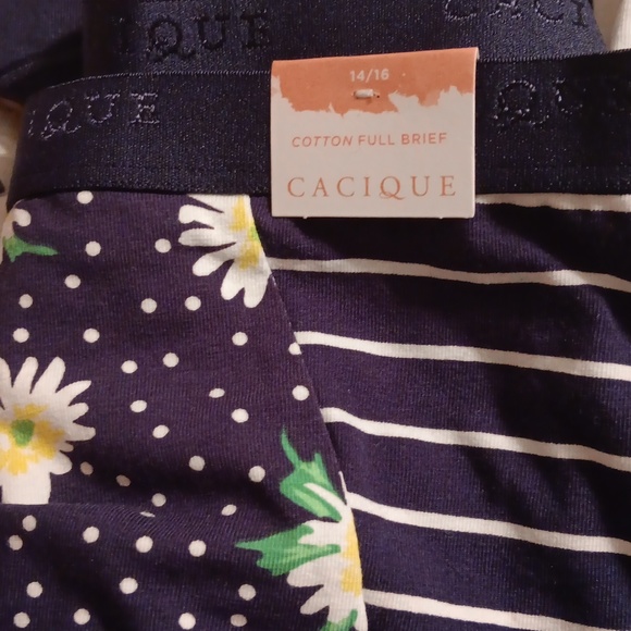 Panties - Picture 6 of 6